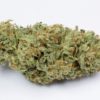 Buy Bubble Gum Marijuana Europe