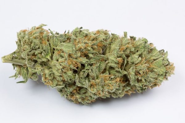 Buy Bubble Gum Marijuana Europe