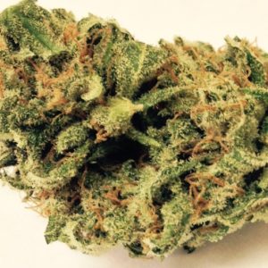 Buy Lemon Kush Weed Strain Online