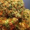 Buy Afghan Kush Strain Online Europe