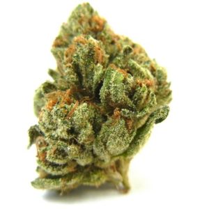 Buy Skywalker OG online Europe