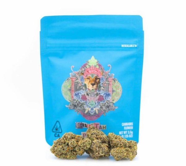 Buy Cheetah Piss Cookies Strain Europe