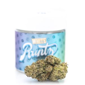 Buy White Runtz Strain Germany