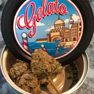 Buy Gelato Marijuana Strain Online Europe