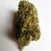 Buy Blueberry Cheesecake Strain Online