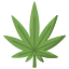 Pērciet Weed Online Latvija
